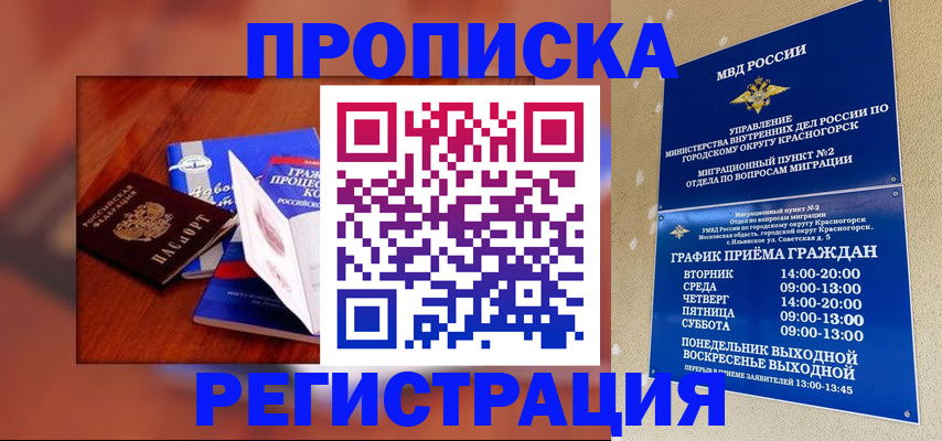 временная регистрация для школы в Борзе